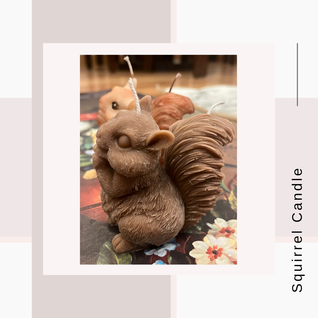 Squirrel